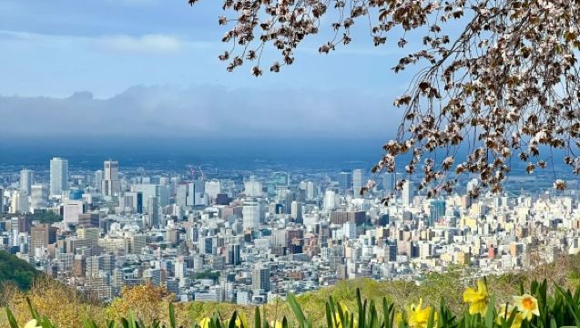 日本札幌市區浪漫風情體驗/可小樽登別富良野北海道多日包車精選