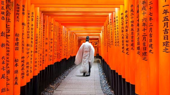 Kyoto & Nara & Uji World Heritage Day Tour: Nara Park & Fushimi Inari & Byodoin & Matcha Street