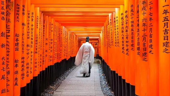 [Tour di un giorno a Kyoto] Tempio Kinkaku-ji + Castello Nijō + Santuario Fushimi Inari + Ponte Togetsukyo + Foresta dei Kimono