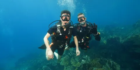 泰國象島探索潛水8小時【探索潛水象島】
