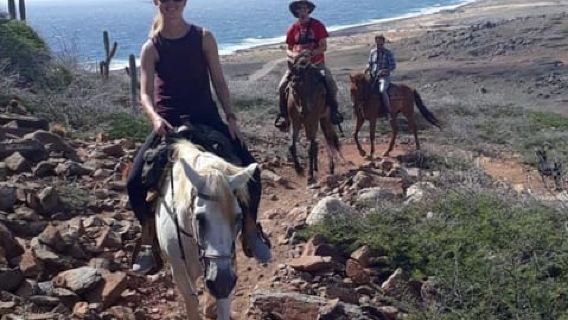 Aruba: tour a cavallo avanzato di 2 ore verso la costa nord