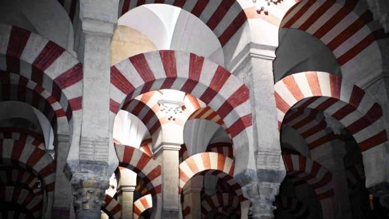 Visita guidata per piccoli gruppi alla Moschea-Cattedrale