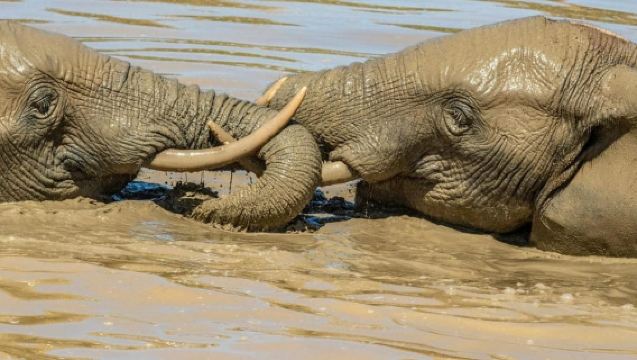 From Victoria Falls: Private Village Trip to Namibia Island