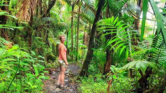St Kitts: Volcano Hiking and Sightseeing Excursion