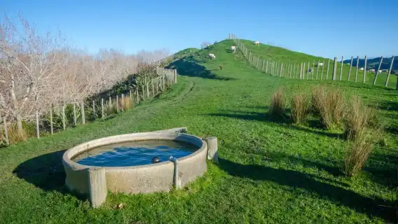 ทัวร์เดินชมสวนสาธารณะภูมิภาคดูเดอร์