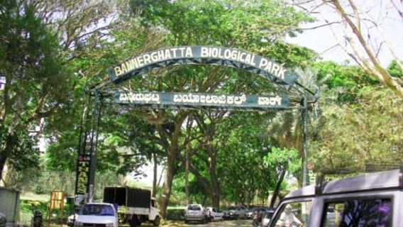 Escursione privata di un giorno al Parco Nazionale di Bannerghatta