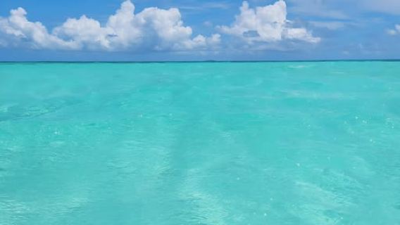 Zanzibar: Mnemba Island Snorkeling and Dolphin Tour