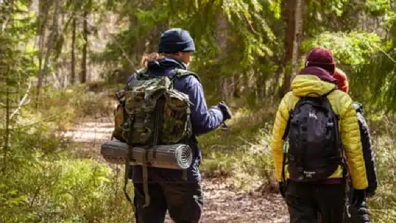 Helsinki: Uutela Guided Nature Hike with Snack