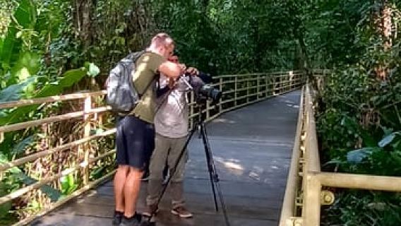 Manuel Antonio: Magic Walk di Taman Manuel Antonio