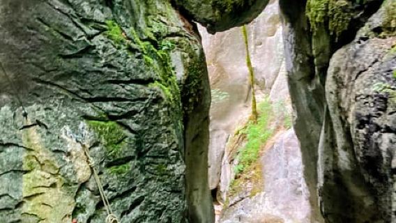 Bad Ischl: Canyoning-Tour mit epischen Abseilversuchen im Salzkammergut
