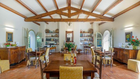 Alghero: Wine and Olive Oil Tasting at a Local Farm