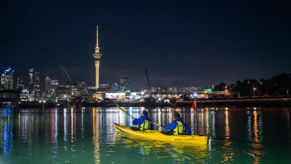 Auckland: City Lights Night Kayak Tour