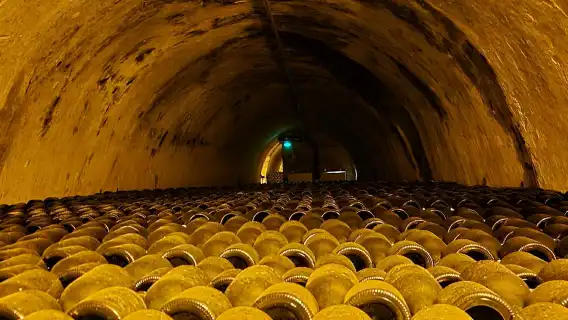 法國巴黎出發：香檳區蘭斯 + 香檳酒莊一日遊