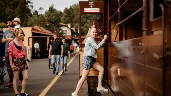 Tour di un giorno con sconto all'ordine: Trenino a vapore Puffing Billy a Melbourne + Isola dei Pinguini Phillip Island