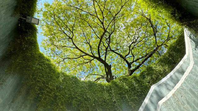 Lawatan Bandar Singapura: Taman Merlion + Little India + Bugis + Old Hill Street [lawatan berkongsi kereta]