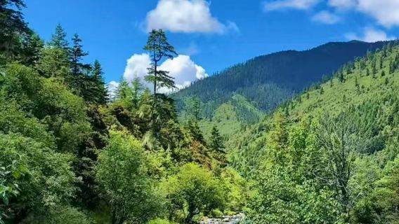 Pudacuo National Park with Tiger Leaping Gorge Scenic Drive for Foreign Tourists
