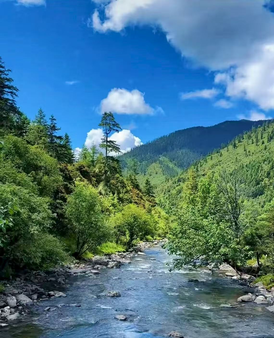อุทยานแห่งชาติผู่ตั๋วโกว พร้อมเส้นทางขับรถชมวิวหุบเขาจัมปาโกวสำหรับนักท่องเที่ยวต่างชาติ