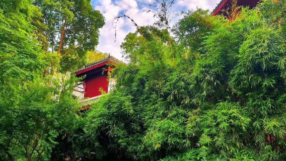 청두 칭바이장구 전 지역 - 비즈니스 통역/가이드/현지 가이드 - 시티워크|관광지 체험|영어/러시아어/프랑스어/기타 외국어|문의 환영합니다