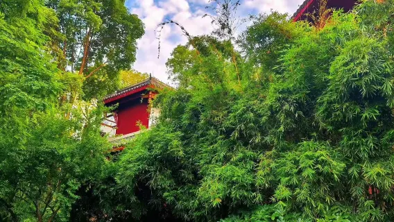 Chengdu Qingbaijiang District - Business Translation/Guide/Local Companion - Citywalk|Attraction visits|English/Russian/French/Other Languages|Welcome to inquire