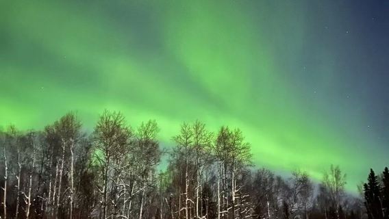 美國費爾班克斯聖誕老人村+極光+珍娜溫泉【中文定制包車】