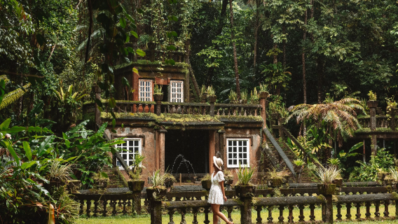 Tour di un giorno a Cairns, Paronella Park (Cielo nel Cielo) con guida in cinese/inglese, trasferimenti urbani inclusi, possibilità di abbinare trasferimenti aeroportuali