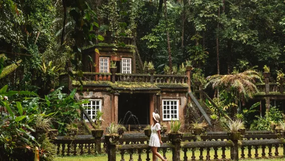 Tour di un giorno a Cairns, Paronella Park (Cielo nel Cielo) con guida in cinese/inglese, trasferimenti urbani inclusi, possibilità di abbinare trasferimenti aeroportuali