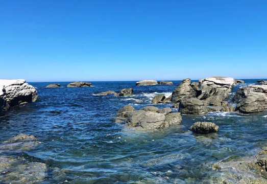 Kaikoura Whale Watching/Lobster Tasting ~ Christchurch Round-Trip Join-In 1-Day Tour [English-Speaking Guide - Contact Customer Support for Details]