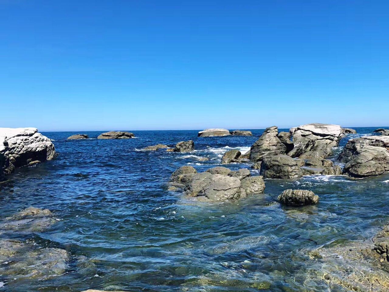 ทัวร์ 1 วัน ไคโคอูรา ชมวาฬ/ลิ้มรสล็อบสเตอร์ ~ ไปกลับไครสต์เชิร์ช แบบกรุ๊ปรวม (สอบถามข้อมูลเพิ่มเติมเกี่ยวกับไกด์ภาษาอังกฤษได้ที่ฝ่ายบริการลูกค้า)