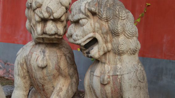 tour 1 ngày khu Bão Độc Trại + cổ thành Chính Định + phủ Vinh Quốc + chùa Long Hưng tại Thạch Gia Trang, Hà Bắc có dịch vụ tiếng Anh