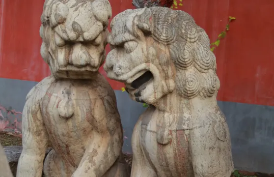 河北石家莊抱犢寨+正定古城+榮國府+隆興寺一日遊可中英文服務