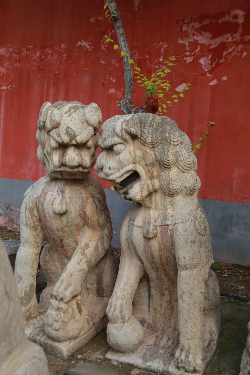 ทัวร์ 1 วัน หมูบ้าน + เมืองเก่าเจิ้งติง + หย่งกั๋วฝู่ + วัดหลงซิง ที่ฉือเจียจวง มณฑลเหอเป่ย พร้อมบริการภาษาอังกฤษ