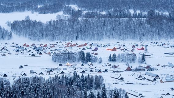 Tour di un giorno ai punti salienti di Kanas/Xinjiang, Hemu o Koktokay (scegli uno tra i tre)