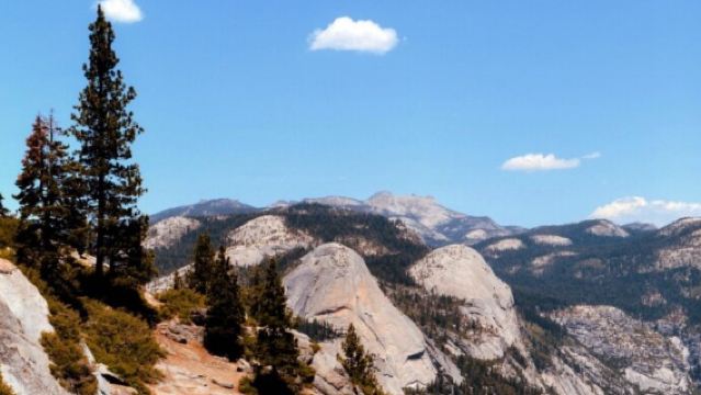 美國舊金山+優勝美地國家公園一日遊/行程可調-可定制