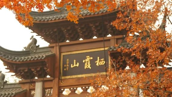 Nankín ofrece guías en inglés, español, ruso, alemán, francés, italiano y otros idiomas [Planificación personalizada por Trip.com]