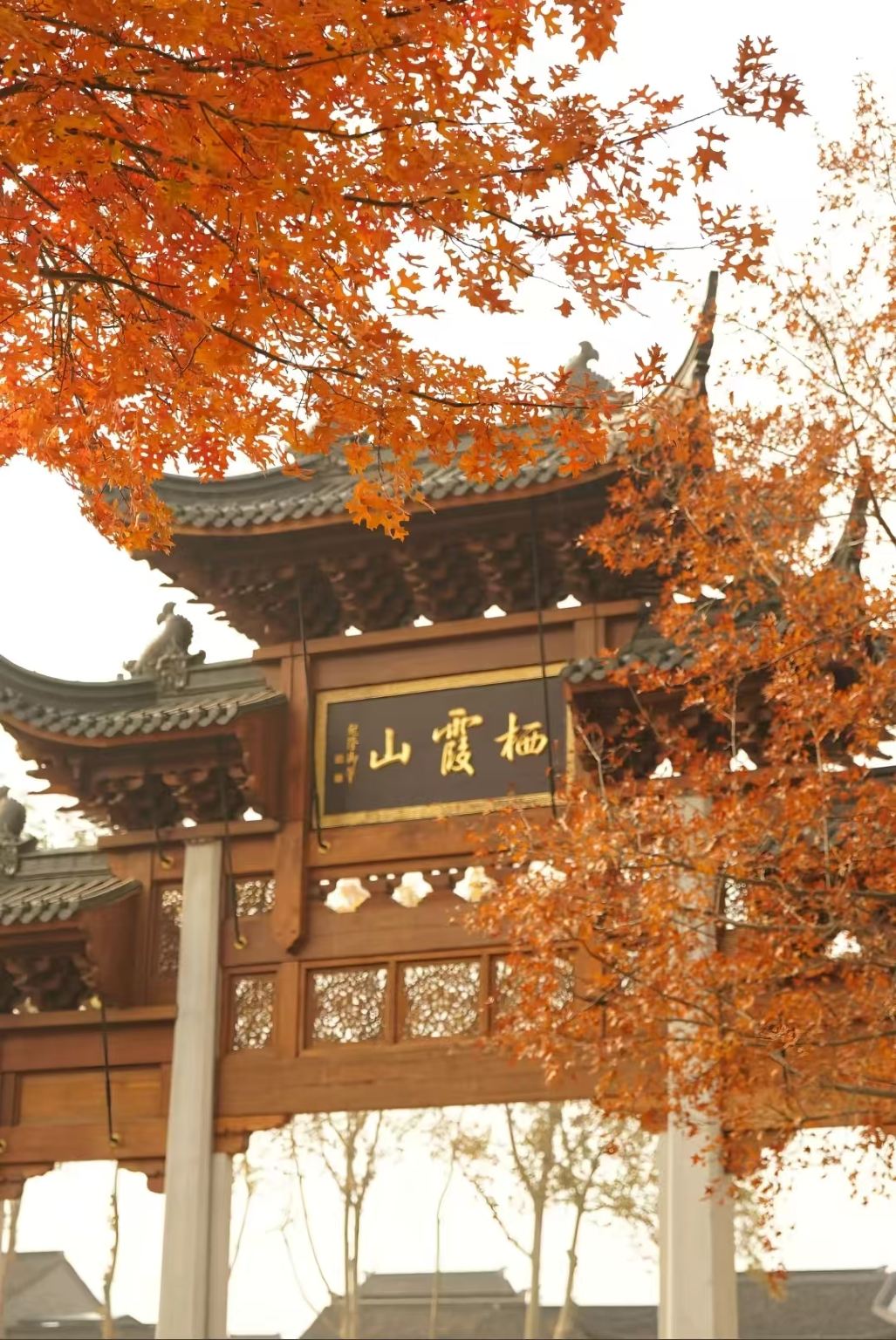 Nanjing propose des guides touristiques en anglais, espagnol, russe, allemand, français, italien et autres langues [Personnalisation d'itinéraire disponible]