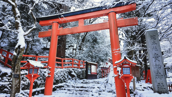 From Osaka: Nanzen-ji Temple + Sanzen-in + Hachiman-mae Station + Kifune Shrine Day Tour