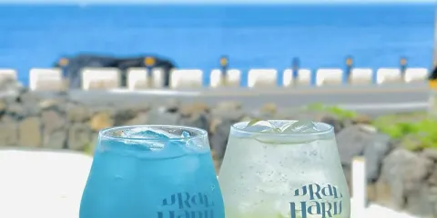 涯月海岸+挾才海+雪綠茶+山茶花之丘一日遊【包車/景點可選】