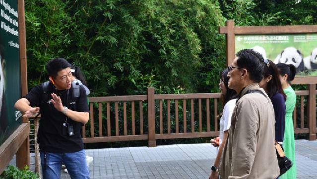 Panda-Zuchtstation [2-stündige professionelle Führung von Shu-Ren]|Tiefere Einblicke in den Großen Panda|Inklusive Ticket