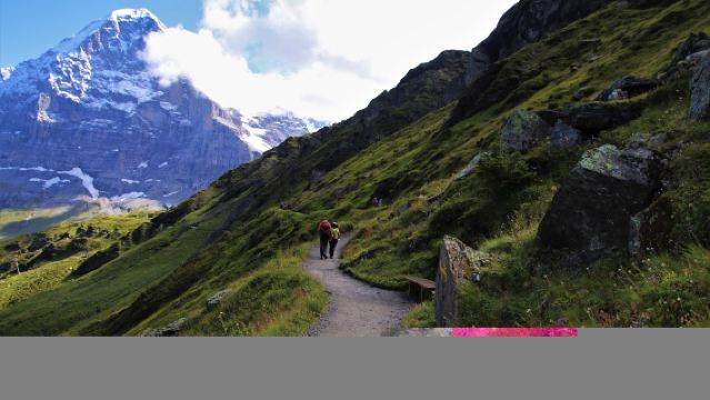 瑞士因特拉肯來回-格林德瓦-夢幻山坡-少女峰｜包車專線