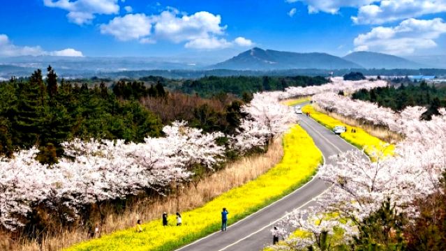 El primer tour en autobús en inglés de Jeju para el recorrido este desde 2008