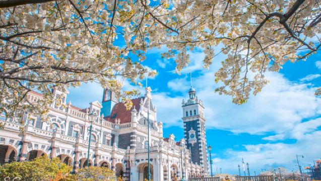 New Zealand Dunedin: Lawatan Bebas ke Jalan Baldwin, Stesen Kereta Api, Semenanjung Otago dan Istana Larnach