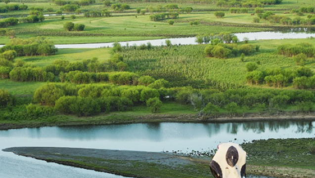 莫爾格勒河一日遊：漫步九曲彎河，邂逅呼倫貝爾草原的靈動之美