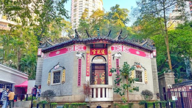 香港非遺文化深度一日遊