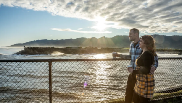 Halbtägige geteilte Tour an der Westküste von Christchurch, Neuseeland | Christchurch - Greymouth (1-16 Personen)