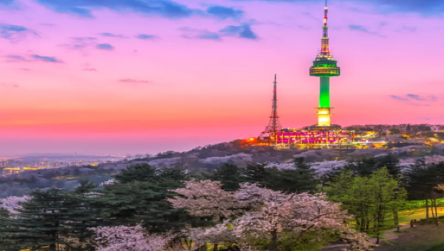 【韓國·濟州島私人定制】旅行+商務一站式 | 中文導遊+翻譯+包車 | 行程自由調 不趕路 不踩坑