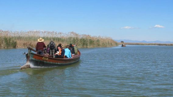 Albufera Bus & Boat from Valencia