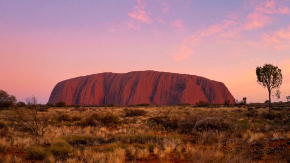 Wycieczka z obserwacją wschodu słońca w Uluru i wędrówką przez Wąwóz Walpa na Terytorium Północnym Australii [grupa anglojęzyczna/wraz z przekąskami]