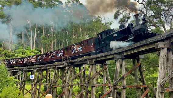 Melbourne: Half-day Puffing Billy Railway experience