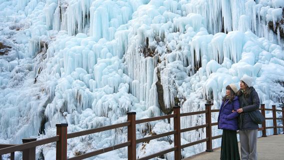 Winter Limited Editie | Vertrek vanuit Seoul: Cheongpyeong Lake + Nami-eiland + Tuin van de Ochtendstilte