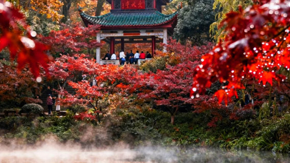 Changsha cultural heritage day tour | Visit Hunan Museum, Yuelu Academy, and Autumn-Admiring Pavilion to experience Hunan culture
